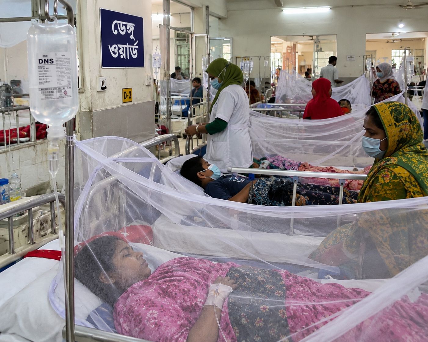 ডেঙ্গুর প্রকোপে বাড়ছে উদ্বেগ, এক দিনেই হাসপাতালে ১,২৬২ জন, প্রাণ গেল আরও ৩ জনের